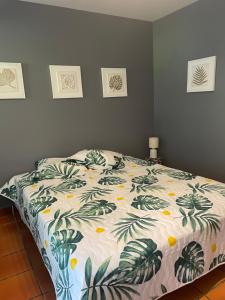 Cama o camas de una habitación en Studio Hibiscus Anse des rochers Saint Francois 27 fotos más