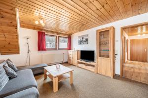 TV a/nebo společenská místnost v ubytování Haus Schöneck