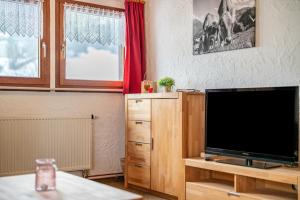 TV a/nebo společenská místnost v ubytování Haus Schöneck