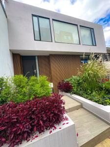 Fotografie z fotogalerie ubytování Vivienda lujosa y amplia en Chapinero Bogota v destinaci Bogotá