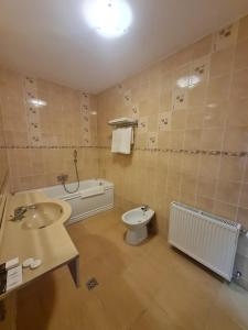 a bathroom with a sink and a toilet at Casa Central in Tîrgu Neamţ
