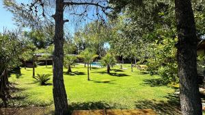 a park with trees and a bench in the grass at Lemon Tree Hostel in Vistalba