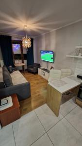 ein Wohnzimmer mit Sofa und Fernseher in der Unterkunft Apartament Gwiazda przy Stoku na parterze z ogródkiem in Krynica-Zdrój