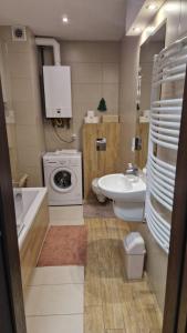 ein Badezimmer mit Waschbecken und Waschmaschine in der Unterkunft Apartament Gwiazda przy Stoku na parterze z ogródkiem in Krynica-Zdrój + 35 Fotos