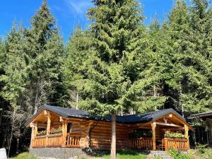 una capanna nel bosco con un albero di Cabanele Silvania a Borsa