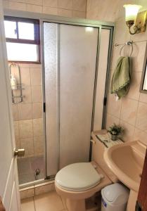Un baño con ducha, inodoro y lavabo. en PICHILEMU BEACH HOUSE, en Pichilemu