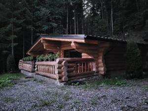 Una cabaña de troncos con porche y plantas. en Cabanele silvania 1, en Statjunea Borsa