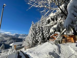 Una cabaña cubierta de nieve en una pista de esquí con árboles. en Cabanele silvania 1, en Statjunea Borsa