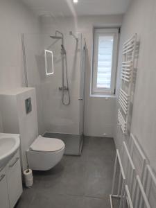 une salle de bain blanche avec douche et toilettes dans l'établissement Apartament przy 29 alei, à Cracovie 14 autres photos