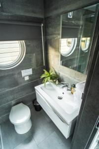 a bathroom with a sink and a toilet and a mirror at Rode Houseboat Zwartsluis in Zwartsluis