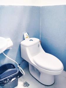 a bathroom with a white toilet in a blue wall at WARM Tourist Inn in Badian +13 photos