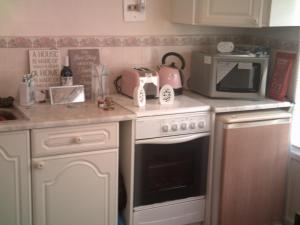 a kitchen with a stove and a microwave at Moulin Rouge three rooms heated cabin in Dartmouth