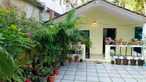 a house with potted plants in front of it at Jardim De Sanfrancisco in Agonda