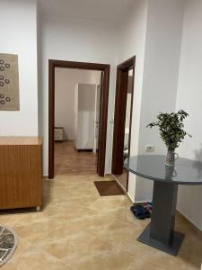 a room with a table with a plant on it at KEDA's-Guesthouse in Pogradec