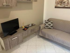 a living room with a couch and a flat screen tv at Zar in Omegna