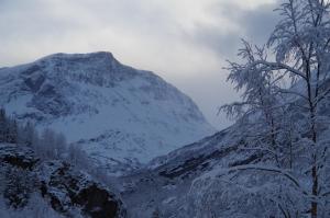 a mountain covered in snow with trees in the foreground at Lunheim in Geiranger in Geiranger