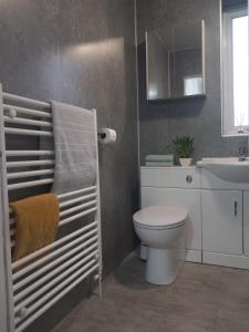 a bathroom with a toilet and a sink at Douglas Apartment - Trains to Edin & Glasgow - Private Parking in Airdrie