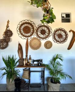 a room with a table with plants on a wall at Pousada Moranga in Carolina