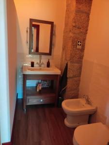 ein Badezimmer mit Waschbecken, Toilette und Spiegel in der Unterkunft Casa do Reguengo, Freigil in Resende