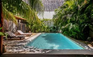 Πισίνα στο ή κοντά στο Exclusiva Villa en Tulum