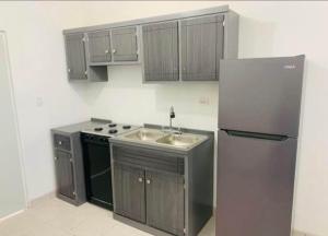 een keuken met een spoelbak en een koelkast bij Apartamento Las Aldabas in Chihuahua