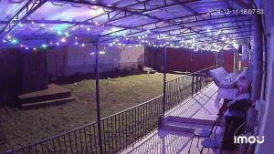 a woman standing in front of a cage with lights at Casa OPRIȚA in Hobiţa Grădişte