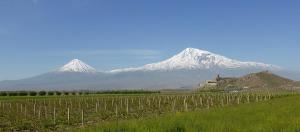 a vineyard with snow capped mountains in the background at Ossanna Hotel in Yerevan