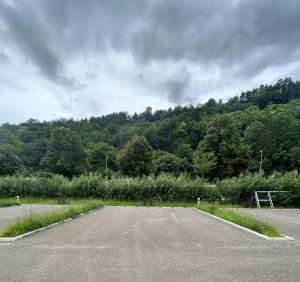 ホルブ・アム・ネッカーにあるWohnmobilpark Horb am Neckarの山前空き駐車場