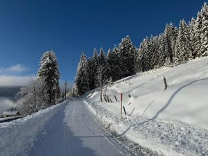 a snow covered road with trees on the side at Hotel Bergglück in Filzmoos