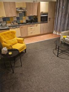 Η κουζίνα ή μικρή κουζίνα στο Cosy apartment in Bristol +11 φωτογραφίες