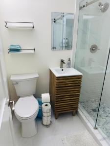 a bathroom with a toilet and a shower and a sink at Romantic Studio in the Heart of Palm Beach in Palm Beach