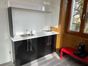 Foto dalla galleria di In and out a Tramelan