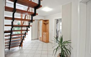 Φωτογραφία από το άλμπουμ του Ferienhaus Wokuhl-Dabelow σε Wokuhl +12 φωτογραφίες