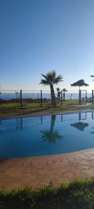 Una piscina con una palmera junto al mar. en Eden Medina Asilah, en Asilah