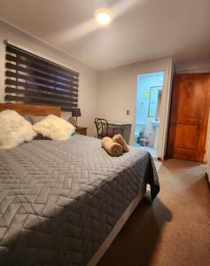 Φωτογραφία από το άλμπουμ του Hostal del Bosque σε Τεμούκο