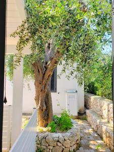 a tree in front of a house at Villa Gargano in Mattinata