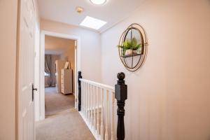 Φωτογραφία από το άλμπουμ του Tropical Vibes in the City of Tribes στο Γκάλγουεϊ +48 φωτογραφίες