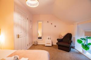 Φωτογραφία από το άλμπουμ του Tropical Vibes in the City of Tribes στο Γκάλγουεϊ