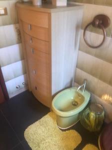 a bathroom with a green toilet and a dresser at Casa Gugjet Cuore Carnico - appartamento Zoncolan - giardino - no scale - parcheggio e 4 zampe gratis in Arta Terme +30 photos