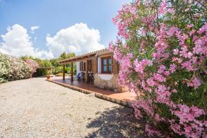 Κήπος έξω από το Villa Porticciolo vicino spiaggia per 6 persone con Aria Condizionata WiF
