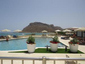 a swimming pool with two large white pots with flowers at Blue Beach Villas Apartments in Stavros