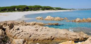 Příroda nedaleko aparthotelu