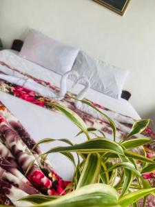 a plant sitting on top of a bed at Farah Guest Inn in Haputale