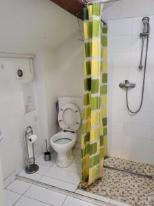 Koupelna v ubytování Enrike room 2
