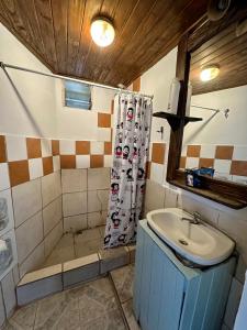 a bathroom with a sink and a shower at Casa Río General Belgrano in General Belgrano