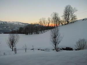 Göllblick en invierno