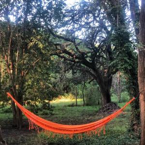 an orange hammock hanging from a tree in a park at Cabañas Valle Dorado in Villa Rumipal +4 photos