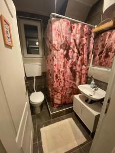 Koupelna v ubytování Apartman Jang