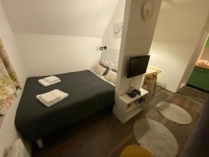 Sjónvarps- og/eða afþreyingartæki á Apartman Jang