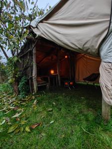Zahrada ubytování Au Pied Du Trieu, The Shelter